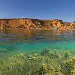 Glavilla פריבלאקה
