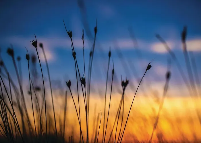 Tatil Evi Glavilla *